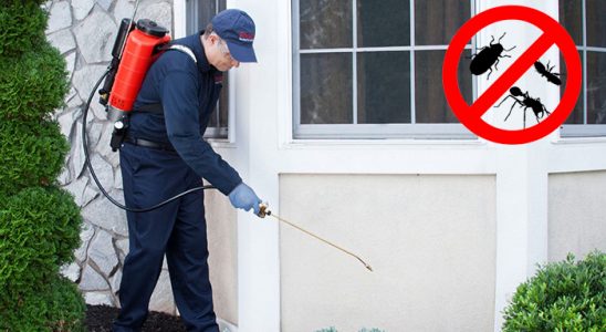 Eşme Kemirgen İlaçlama böcek ilaçlama ve haşere kontrolü — ilaclama-tr.com